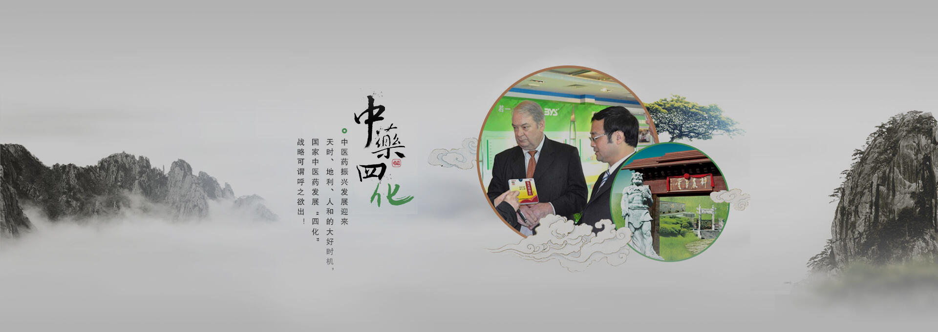 靖远建站-若一医药科技